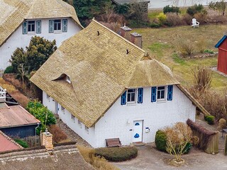 Dein Darß Urlaub Wieck: Außenbild Ferienhaus Baltic