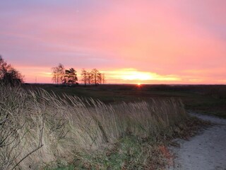 Sonnenaufgang am Hafen in Wieck am Darß