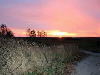 Dein Darß Urlaub: Sonnenaufgang am Wiecker Hafen