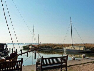 Integral Immobilien: Dein Darß Urlaub - Wiecker Hafen und Zeesboote