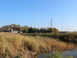 idyllischer Blick auf den Hafen von Wieck