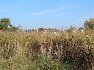 Naturimpressionen in Wieck am Darß