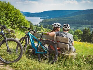 Casa per le vacanze Schluchsee Ambiente 26