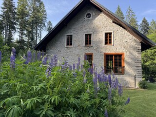 Casa per le vacanze Schluchsee Registrazione all'aperto 3