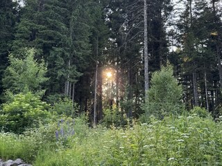 Casa per le vacanze Schluchsee Registrazione all'aperto 4