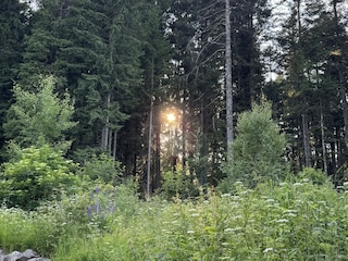 Ferienhaus Schluchsee Außenaufnahme 4