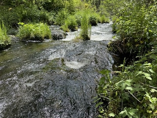 Maison de vacances Schluchsee Enregistrement extérieur 5