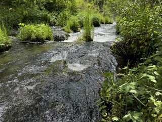 Vakantiehuis Schluchsee Buitenaudio-opname 5