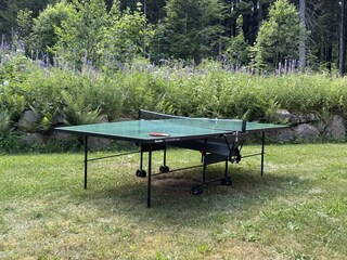 Casa de vacaciones Schluchsee Grabación al aire libre 8