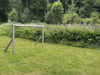 Maison de vacances Schluchsee Enregistrement extérieur 9