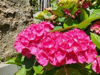 Appartamento per vacanze St. Peter-Ording Registrazione all'aperto 13