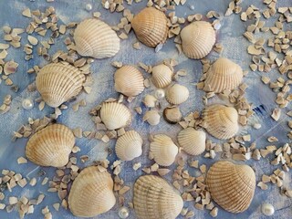 Appartamento per vacanze St. Peter-Ording Caratteristiche 35