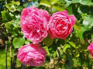 Appartamento per vacanze St. Peter-Ording Registrazione all'aperto 9