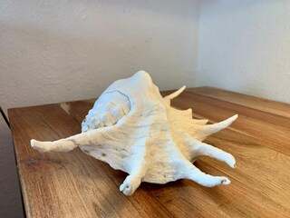 Appartamento per vacanze St. Peter-Ording Caratteristiche 23