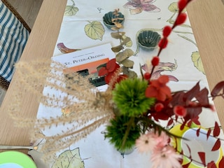 Casa per le vacanze St. Peter-Ording Caratteristiche 14