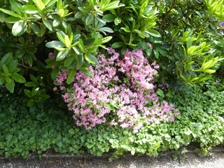 Appartamento per vacanze St. Peter-Ording Registrazione all'aperto 3