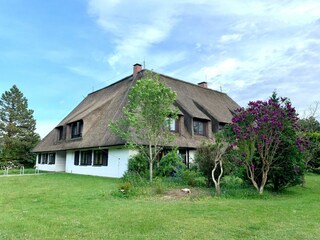 Vakantieappartement St. Peter-Ording Buitenaudio-opname 5