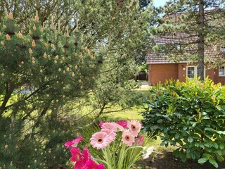 Apartamento de vacaciones St. Peter-Ording Entorno 17