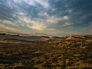 Dünenlandschaft