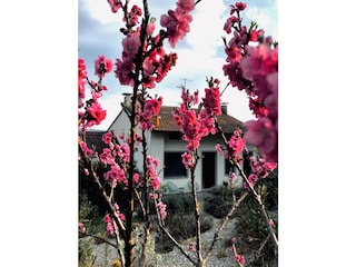 Cottage Osmate Außenaufnahme 7