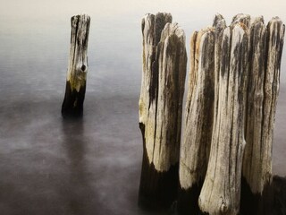 Appartamento per vacanze St. Peter-Ording Registrazione all'aperto 15