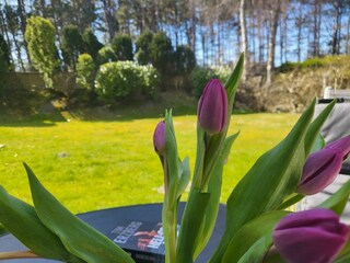 Casa per le vacanze St. Peter-Ording Registrazione all'aperto 3