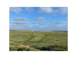 Typische Texel-Landschaft
