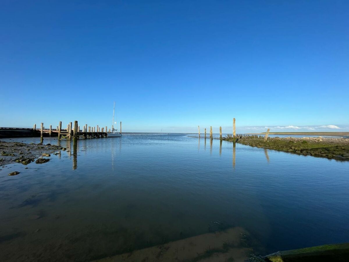 Typische Texel-Landschaft