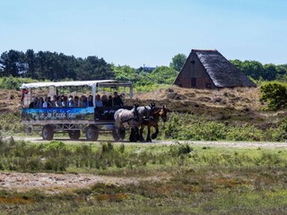 Vakantiehuis De Cocksdorp Omgeving 24