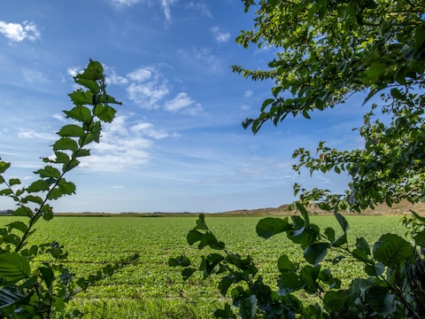 Vakantiehuis Zanddijk 84