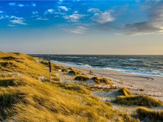 Wilde Nordsee