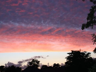 Blick aus dem Garten