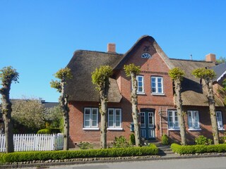 Außen Vorderansicht im Frühling
