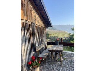 Panoramasicht über die Weinberge