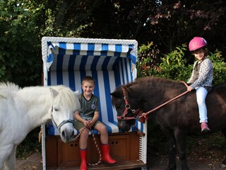 Ferienwohnung Vollerwiek Umgebung 5
