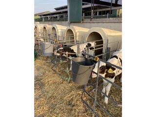 Ferienwohnung Vollerwiek Umgebung 6