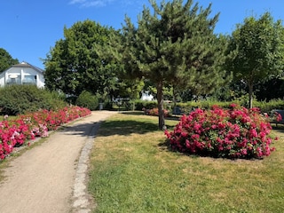 Martha-Müller-Grählert-Park Zingst