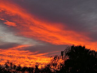 Holiday house Carvoeiro Environment 36