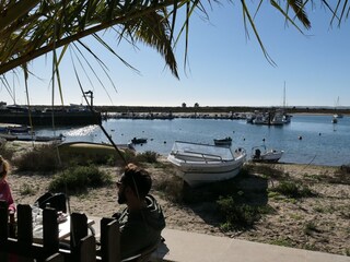 Holiday house Carvoeiro Environment 37