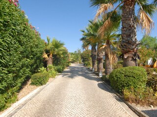 Holiday house Carvoeiro Outdoor Recording 16