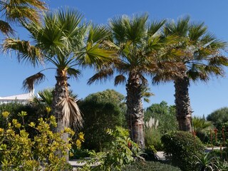 Holiday house Carvoeiro Outdoor Recording 15