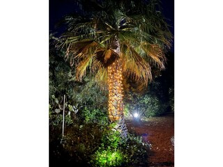 Holiday house Carvoeiro Outdoor Recording 20