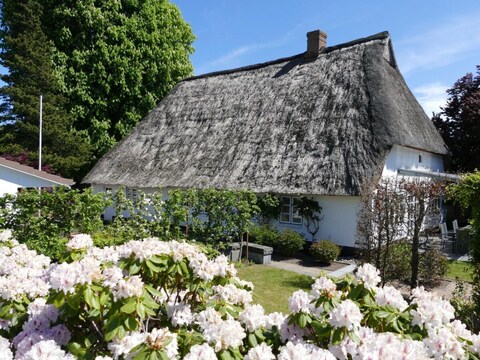 Vakantiehuis Landhuis aan de oude kastanjeboom