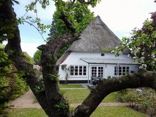 Vakantiehuis Kosel Buitenaudio-opname 2