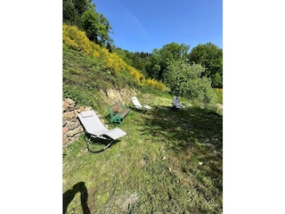 small private garden