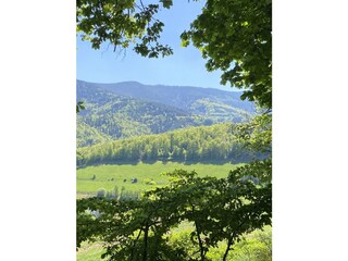 Wandergebiet direkt vor der Haustuere