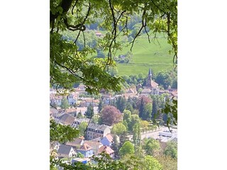Sicht auf Sainte-Marie-Aux-Mines