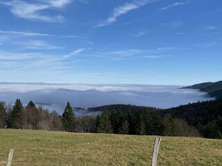 Appartamento per vacanze Sainte-Croix-aux-Mines Ambiente 23