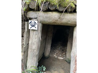Eine der Silberminen im Rauenthal