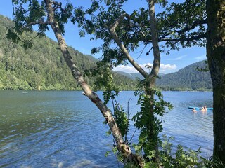 Appartamento per vacanze Sainte-Croix-aux-Mines Ambiente 29